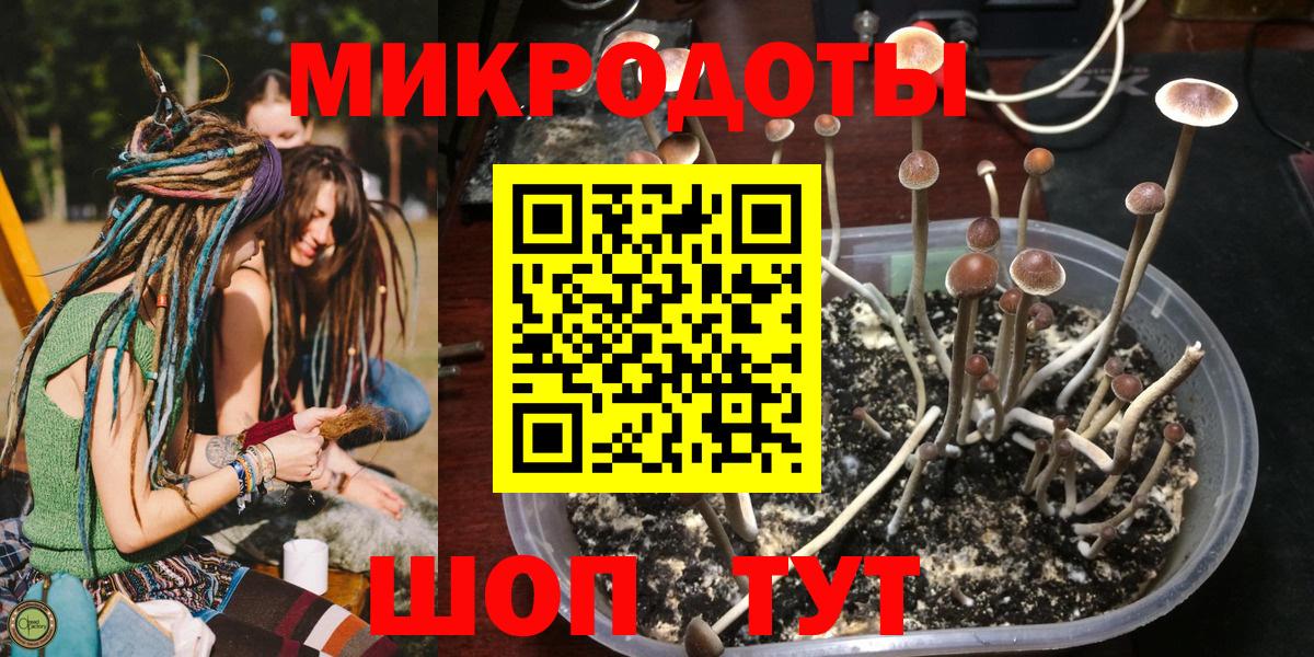 Красноуфимск  Псилоцибиновые грибы ЛСД  Вход с VPN 