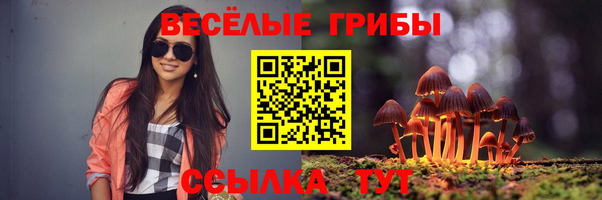 Псилоцибиновые грибы Cubensis Красноуфимск